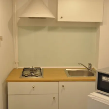 Apartment Cismigiu Park Studio